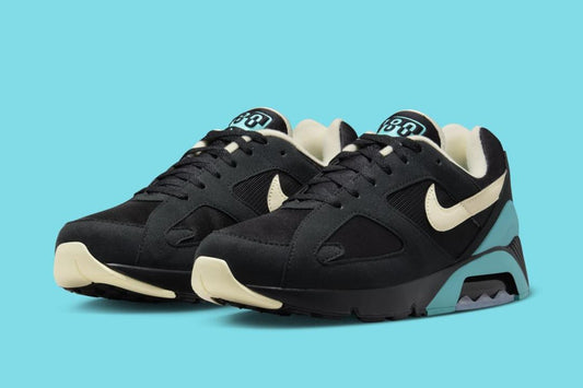 Nike Air 180 "Black Cactus"